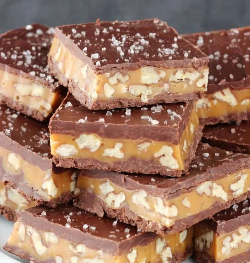 Delicious pecan caramel turtle candy bars with chocolate, pecans, and caramel