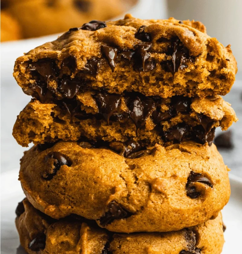 Delicious soft pumpkin chocolate chip cookies on a fall-themed plate