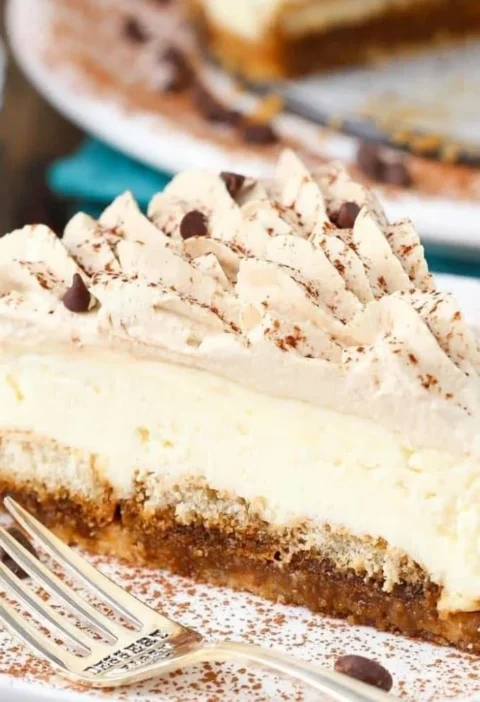 Delicious no-bake tiramisu cheesecake with coffee and cocoa layers