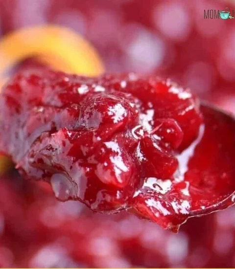 Delicious homemade cranberry sauce in a bowl ready for serving.