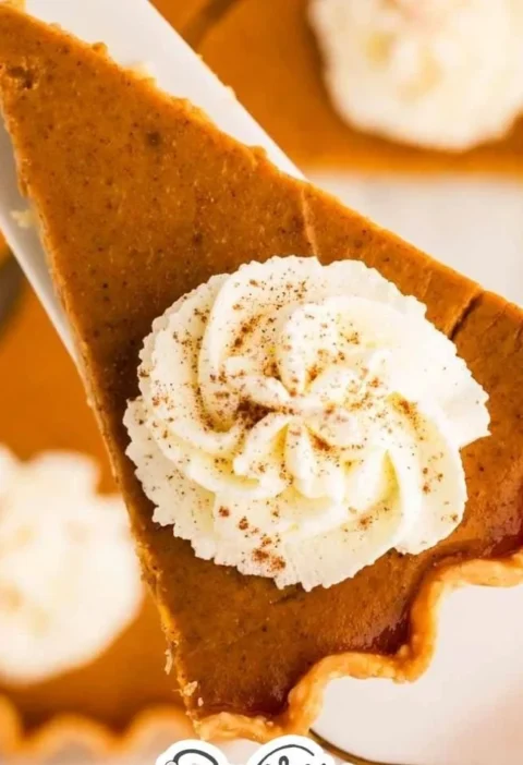 Delicious homemade pumpkin pie with whipped cream topping