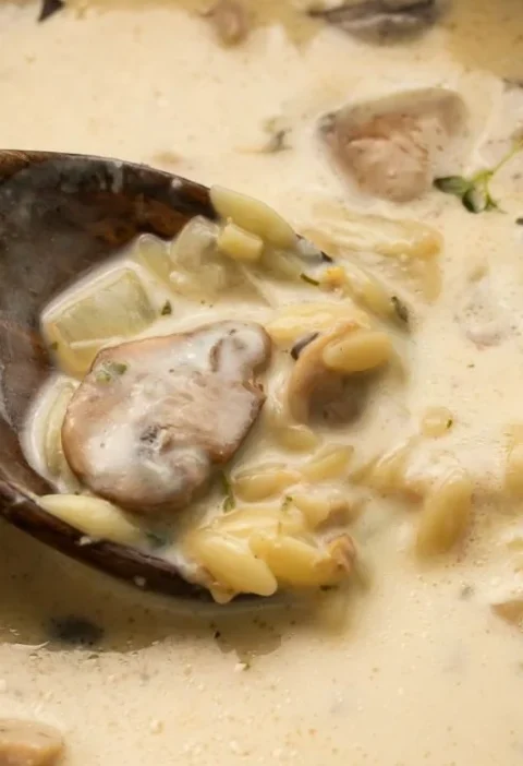 Creamy Boursin chicken and mushroom soup ready in 30 minutes