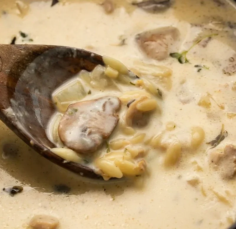 Creamy Boursin chicken and mushroom soup ready in 30 minutes