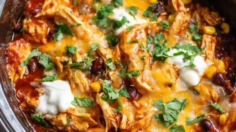 Delicious Crockpot Chicken Enchilada Casserole served in a bowl.